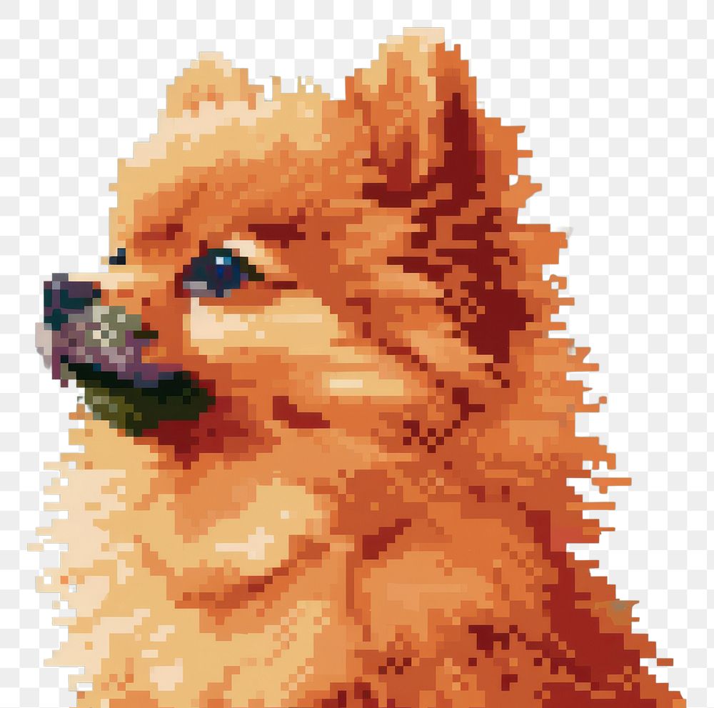 PNG Pomeranian cut pixel dog mammal animal.