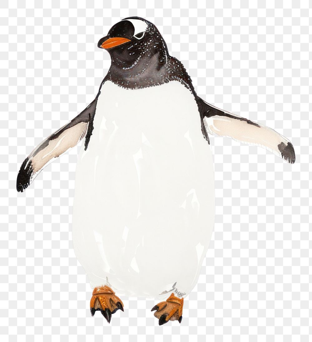 PNG Penguin animal bird white background.
