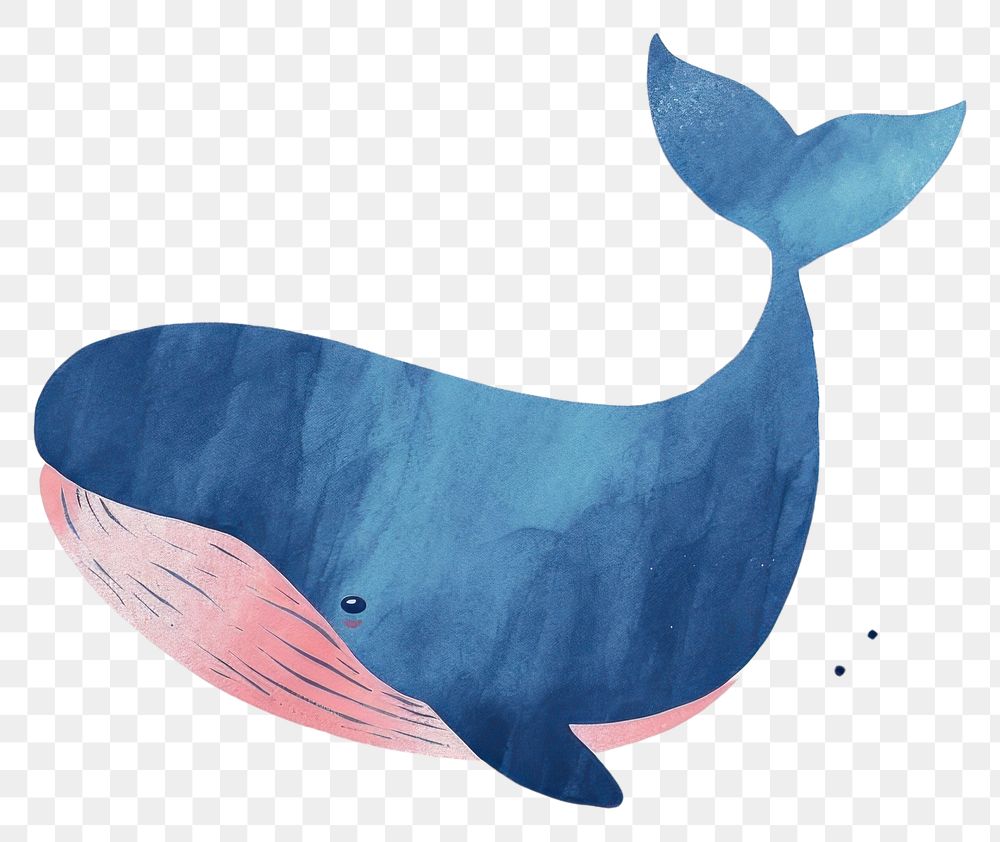 PNG  Cute whale illustration animal mammal fish.