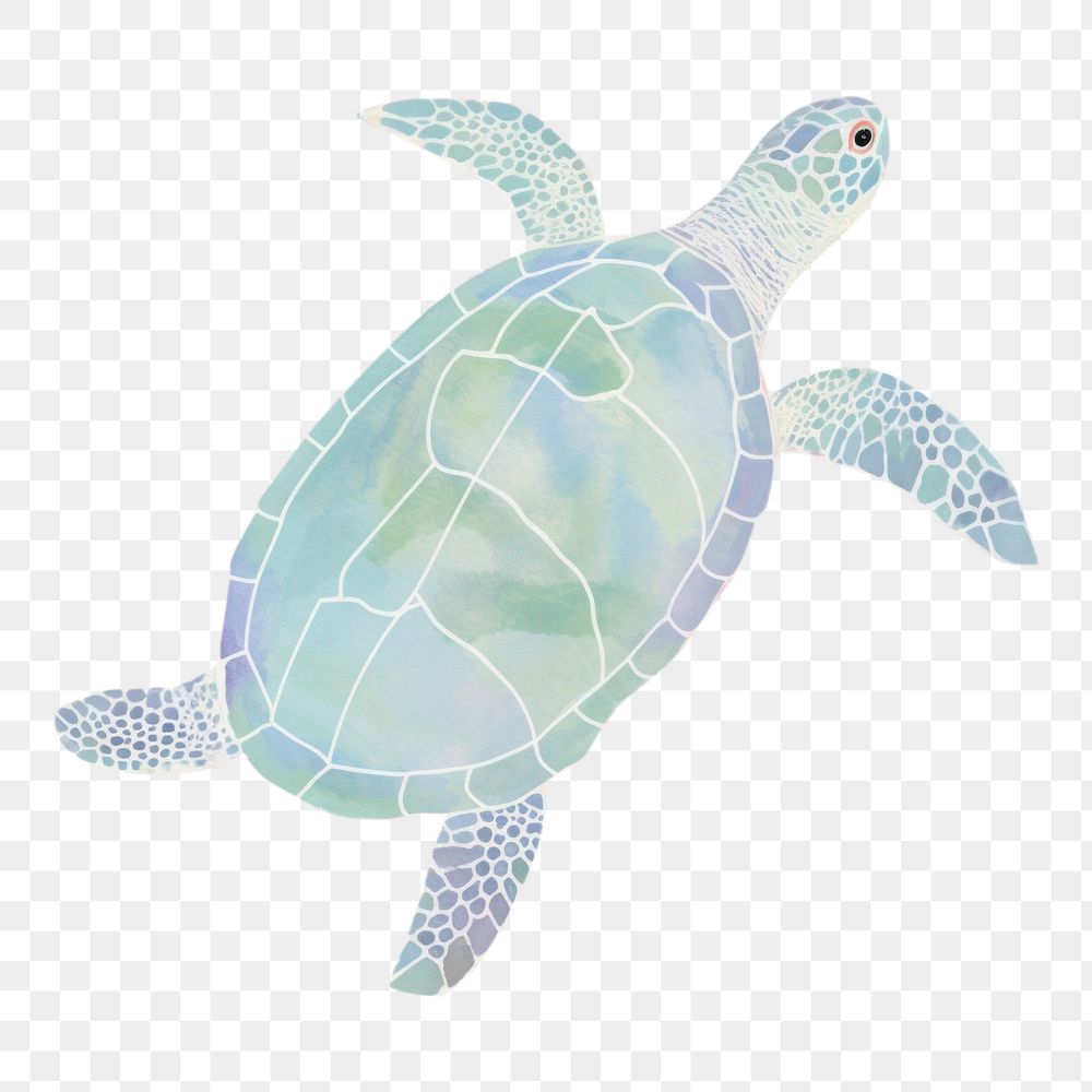 PNG  Turtle reptile drawing animal. AI generated Image by rawpixel.