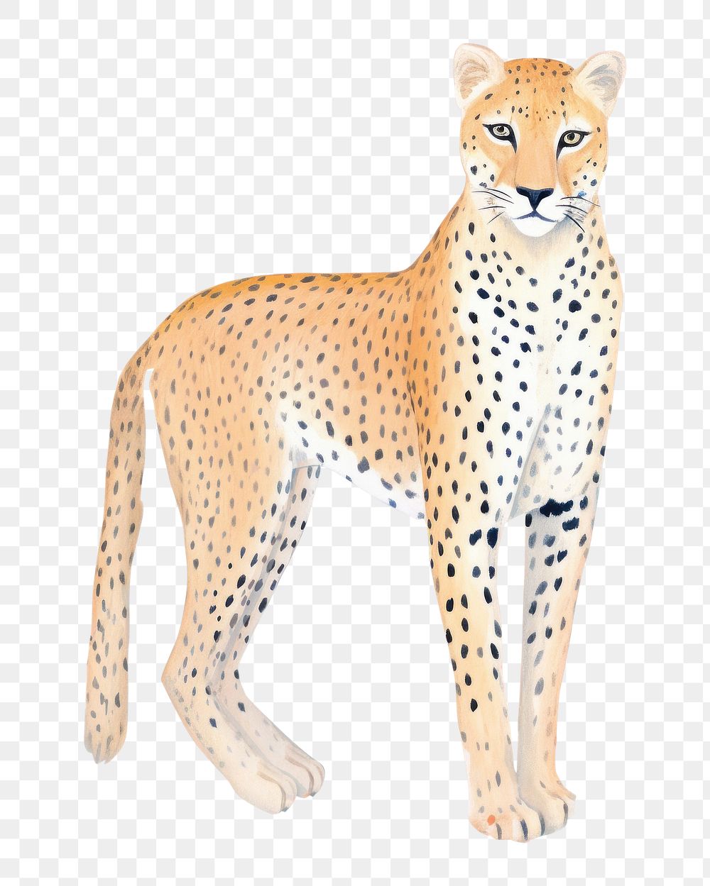 PNG  Wildlife cheetah drawing animal. AI generated Image by rawpixel.