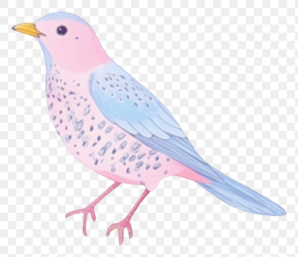 PNG  Bird drawing animal sketch. AI generated Image by rawpixel.