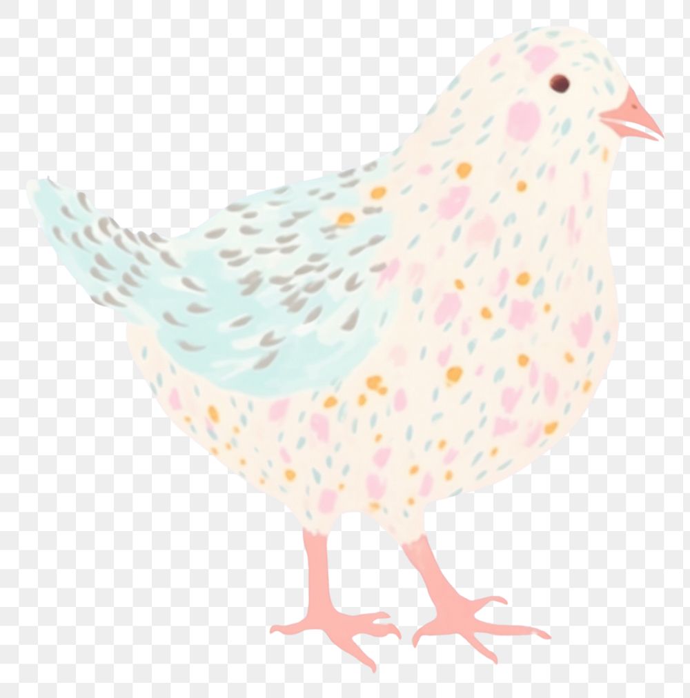 PNG  Chicken drawing animal bird. 