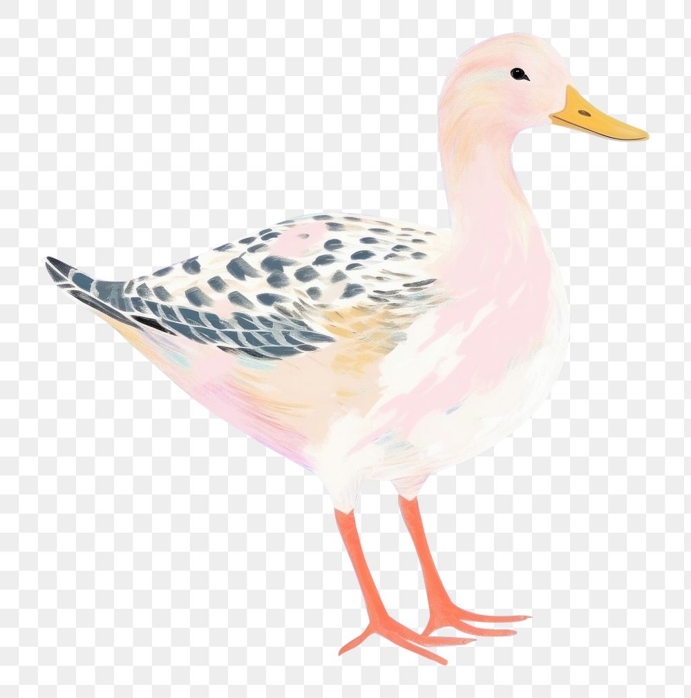 PNG  Duck painting drawing animal. AI generated Image by rawpixel.