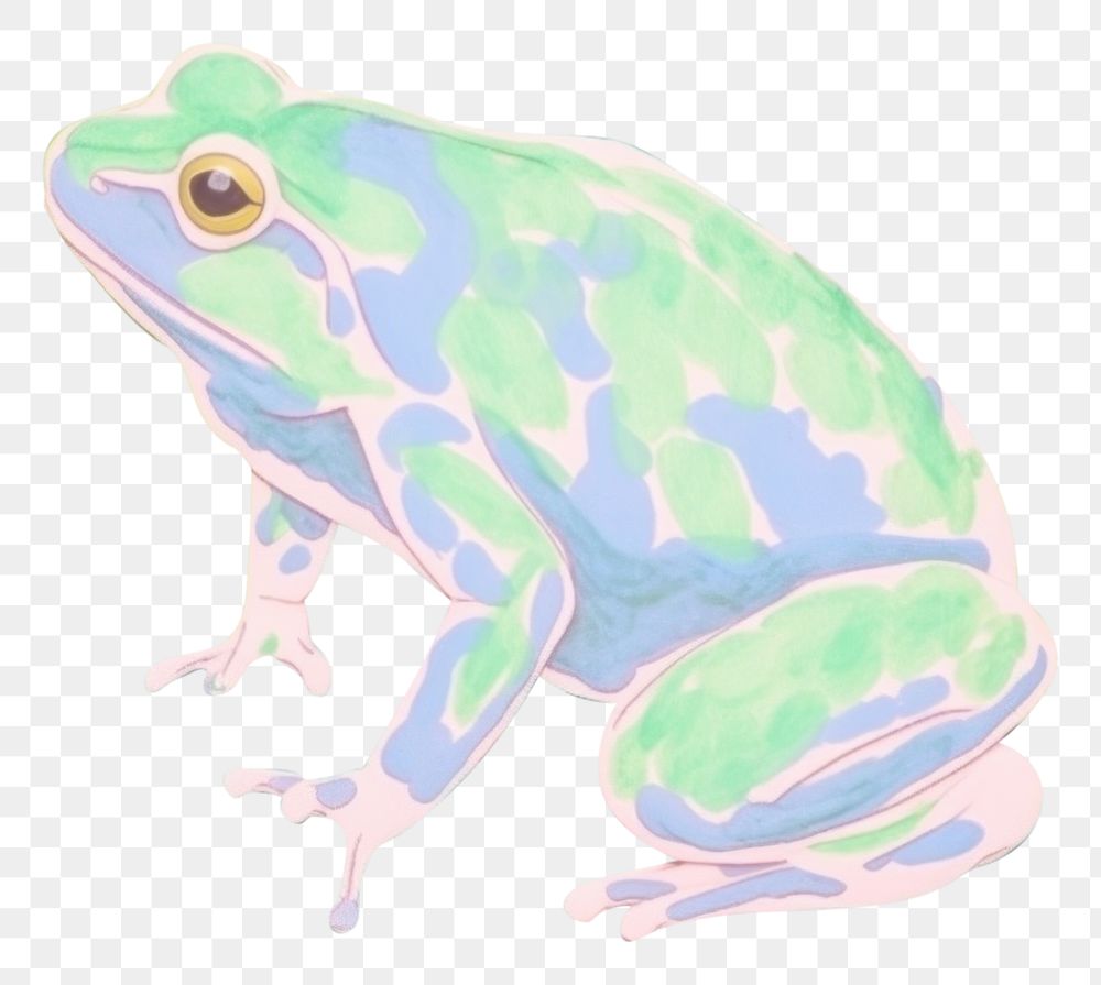 PNG  Frog amphibian wildlife drawing. AI generated Image by rawpixel.