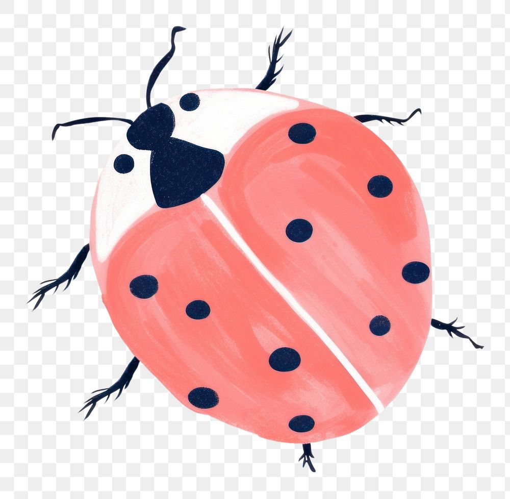 PNG  Ladybug outdoors pattern nature. AI generated Image by rawpixel.