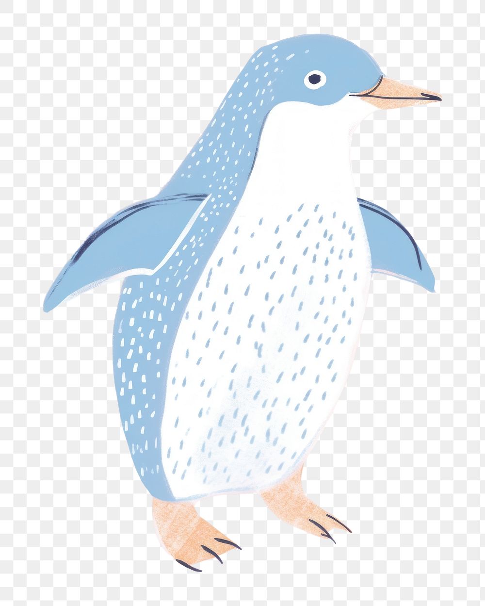 PNG  Penguin drawing animal bird. .
