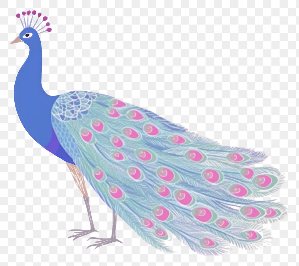 PNG  Peacock art pattern drawing. AI generated Image by rawpixel.
