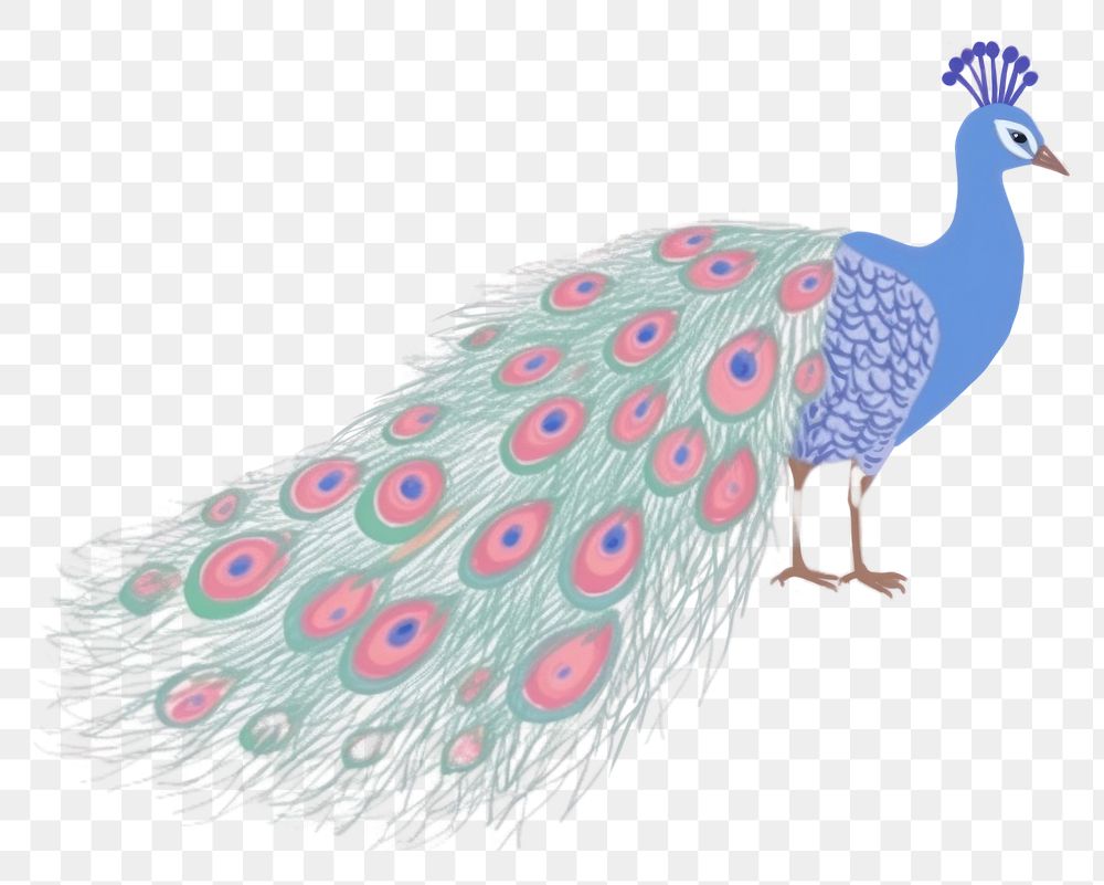 PNG  Peacock art drawing animal. AI generated Image by rawpixel.