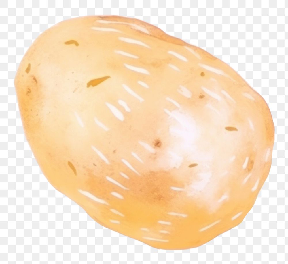 PNG  Potato drawing food freshness. AI generated Image by rawpixel.