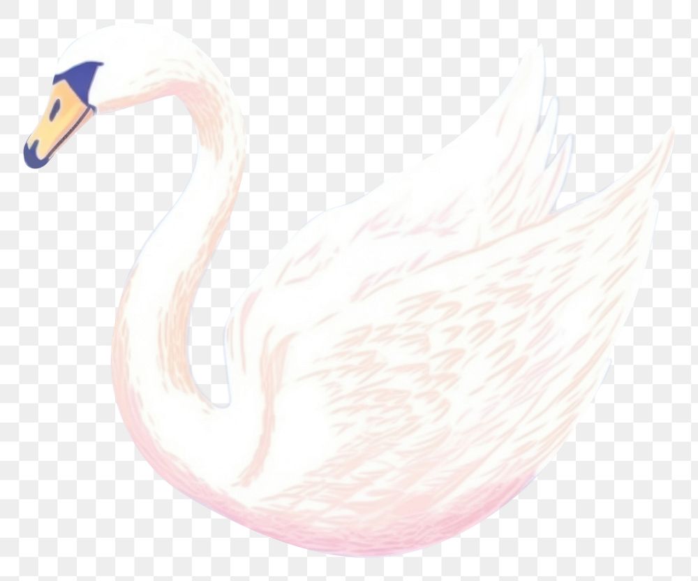 PNG  Swan drawing animal white. AI generated Image by rawpixel.