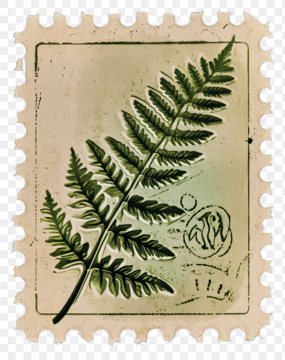 PNG Plant fern leaf pattern.