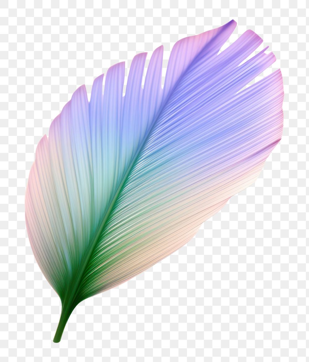 PNG  Holography palm leaf petal plant white background.