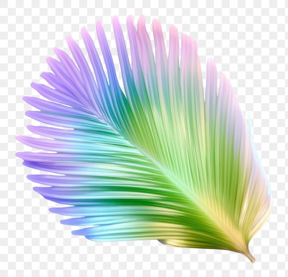 PNG  Holography palm leaf petal white background lightweight.