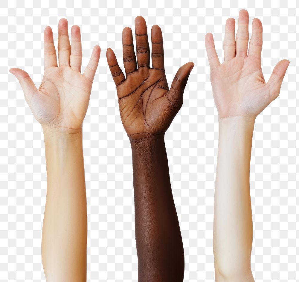 PNG Hands raising of 3 mixed races people finger adult gesturing.