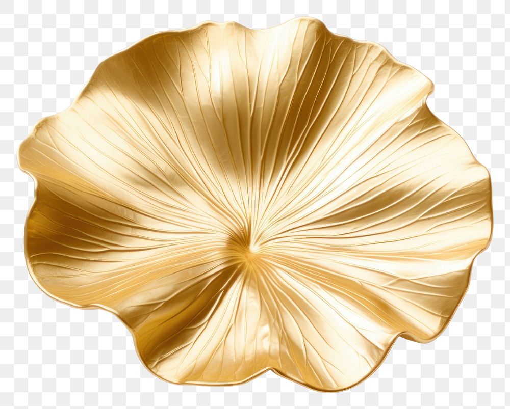PNG Lotus leaf gold jewelry shiny.