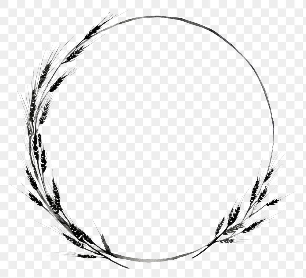 PNG Stroke outline wheat frame circle white background accessories.