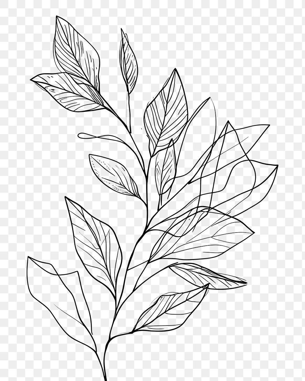 PNG  Continuous line drawing branch with leaves pattern sketch plant