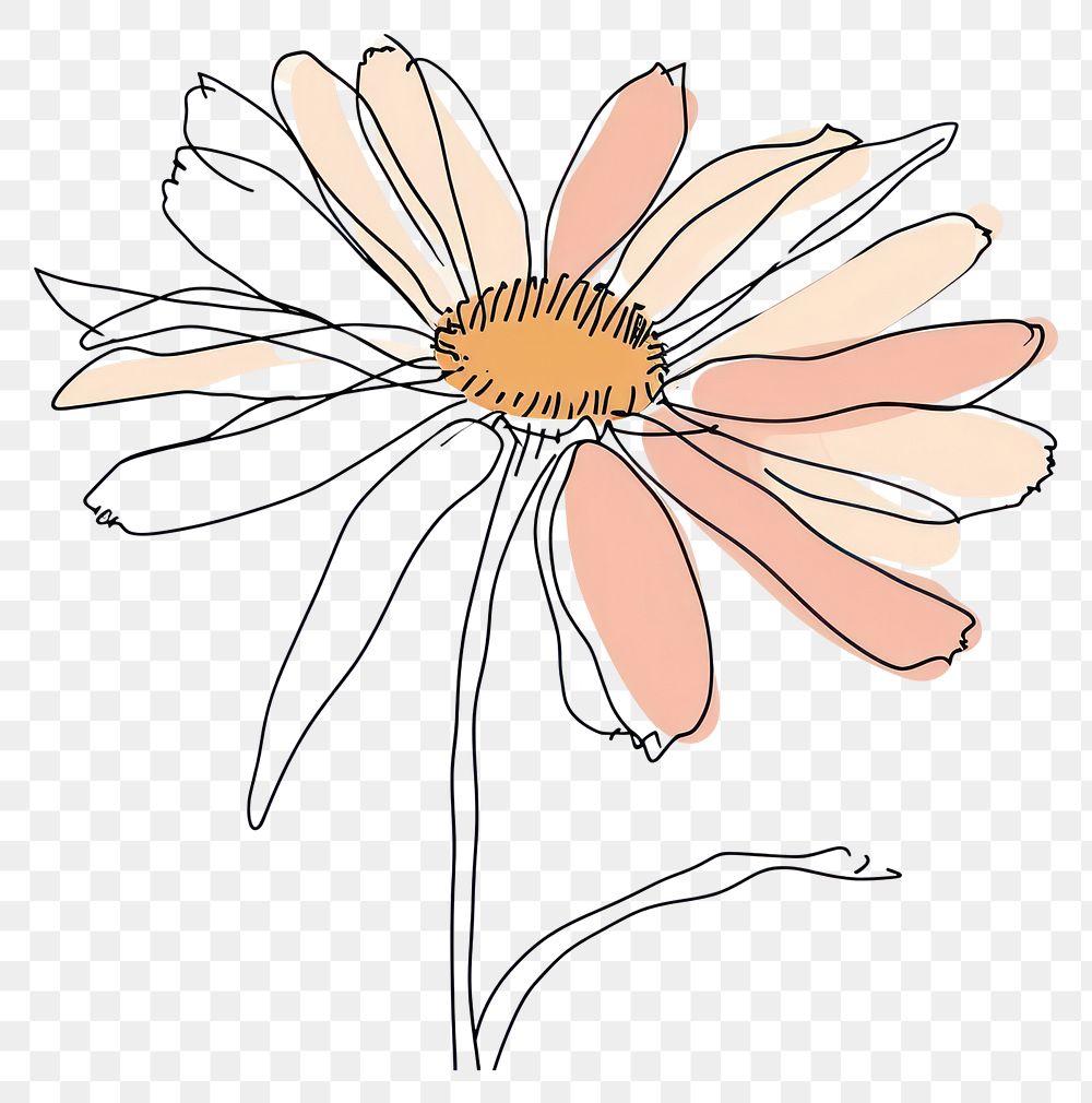 PNG  Continuous line drawing daisy flower plant art