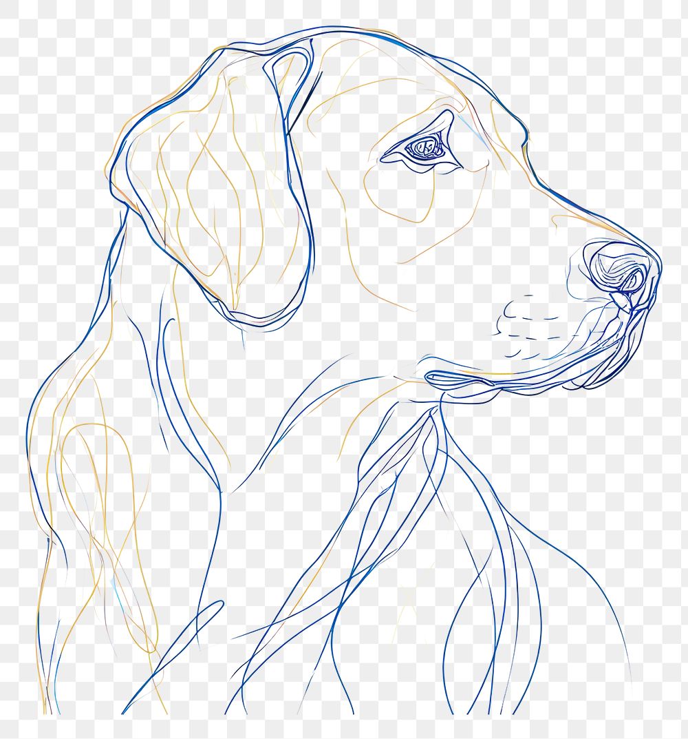 PNG  Continuous line drawing dog animal mammal sketch.