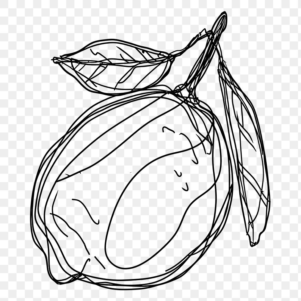 PNG  Continuous line drawing lemon sketch art illustrated.