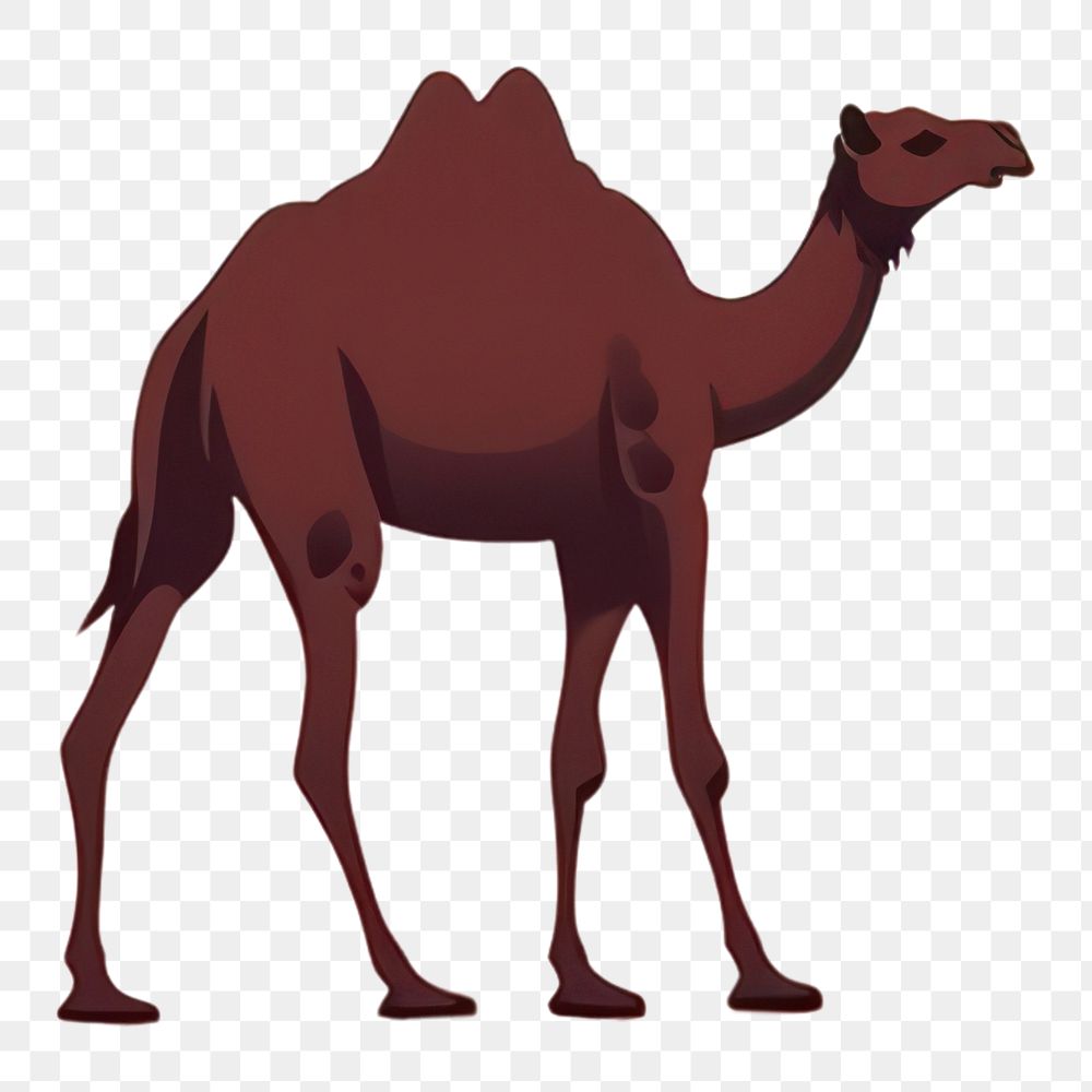 PNG Camel in desert landscape mammal mountain.