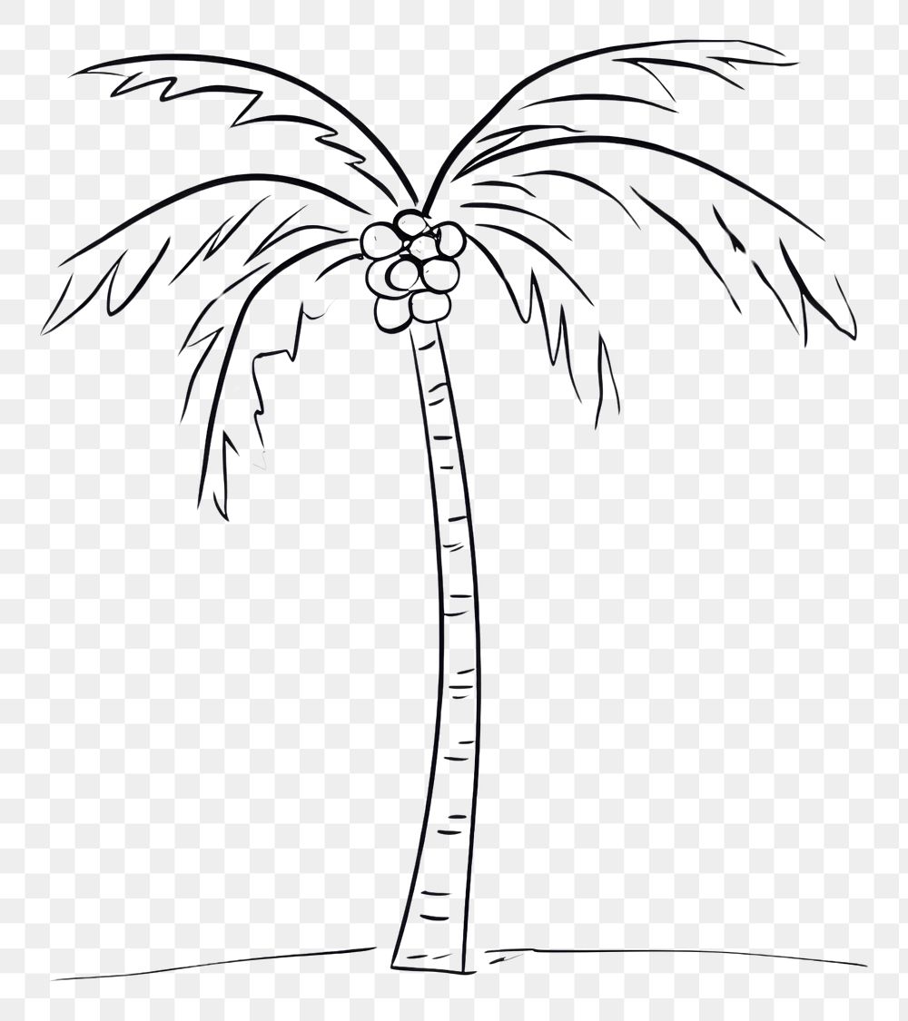PNG Palm tree sketch drawing doodle.