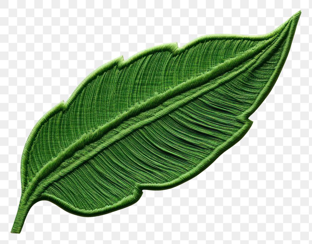 PNG  Banan leaf in embroidery style plant freshness clothing.