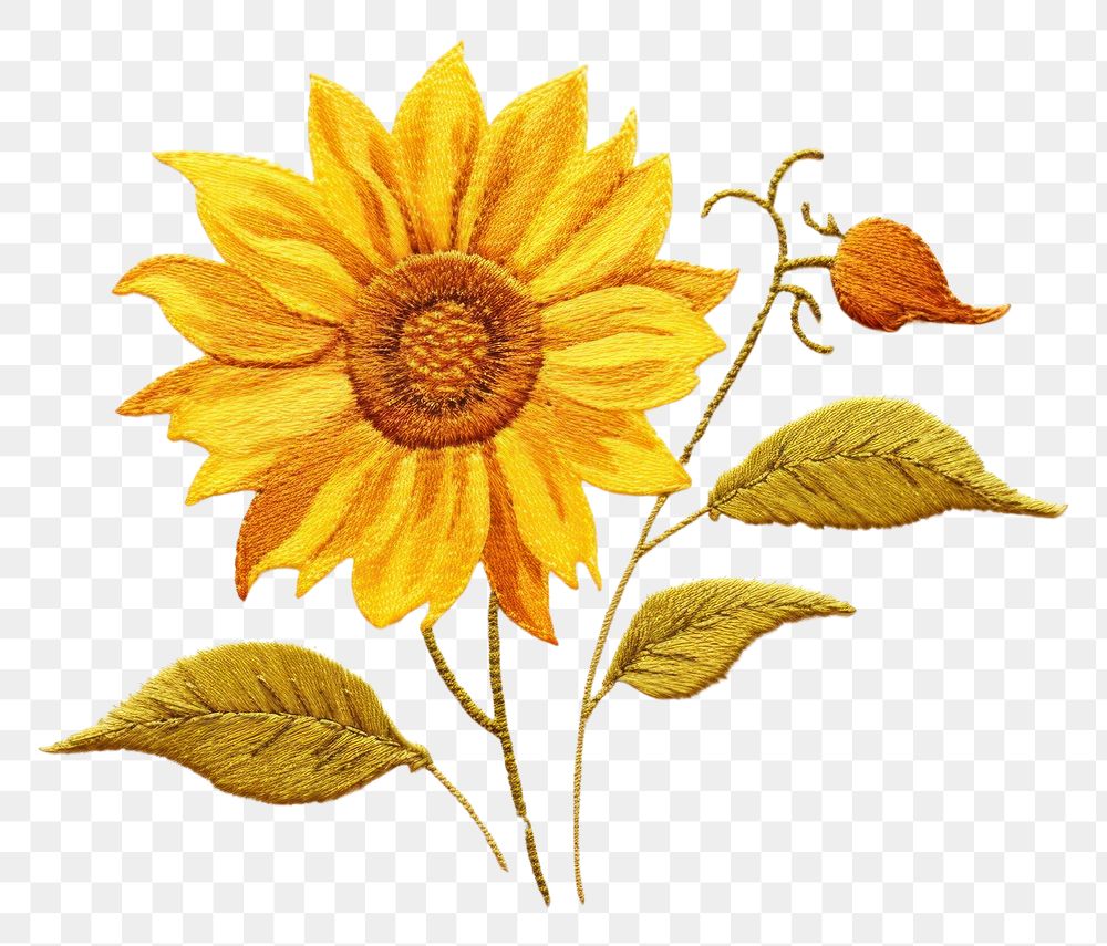 PNG  Sunflower in embroidery style pattern plant inflorescence.