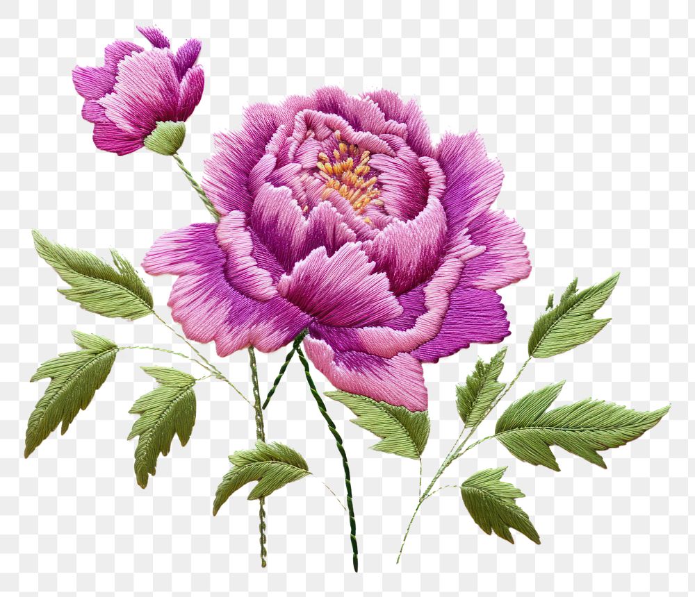PNG  Peony in embroidery style pattern flower plant.
