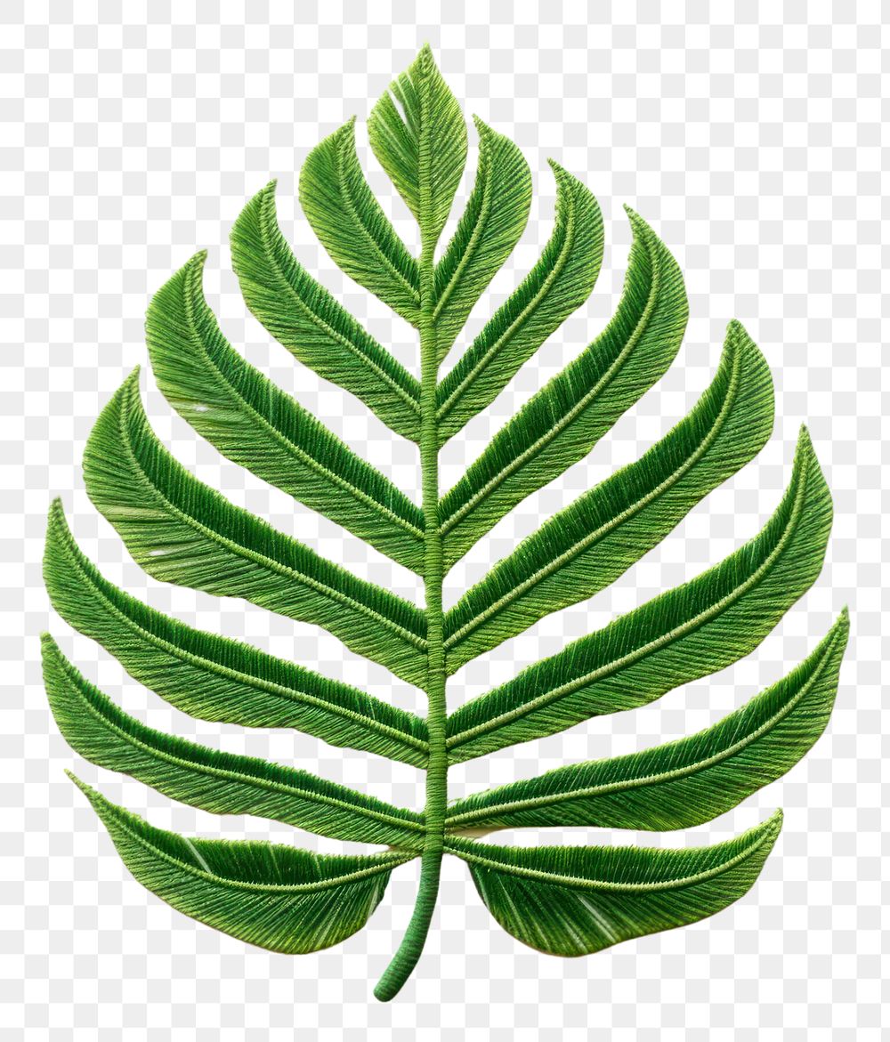 PNG  Tropical leaf in embroidery style plant freshness pattern.