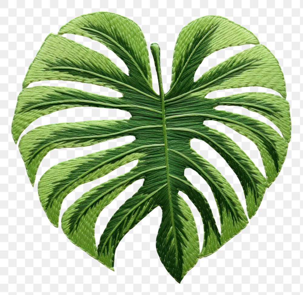 PNG  Tropical leaf in embroidery style plant creativity annonaceae.
