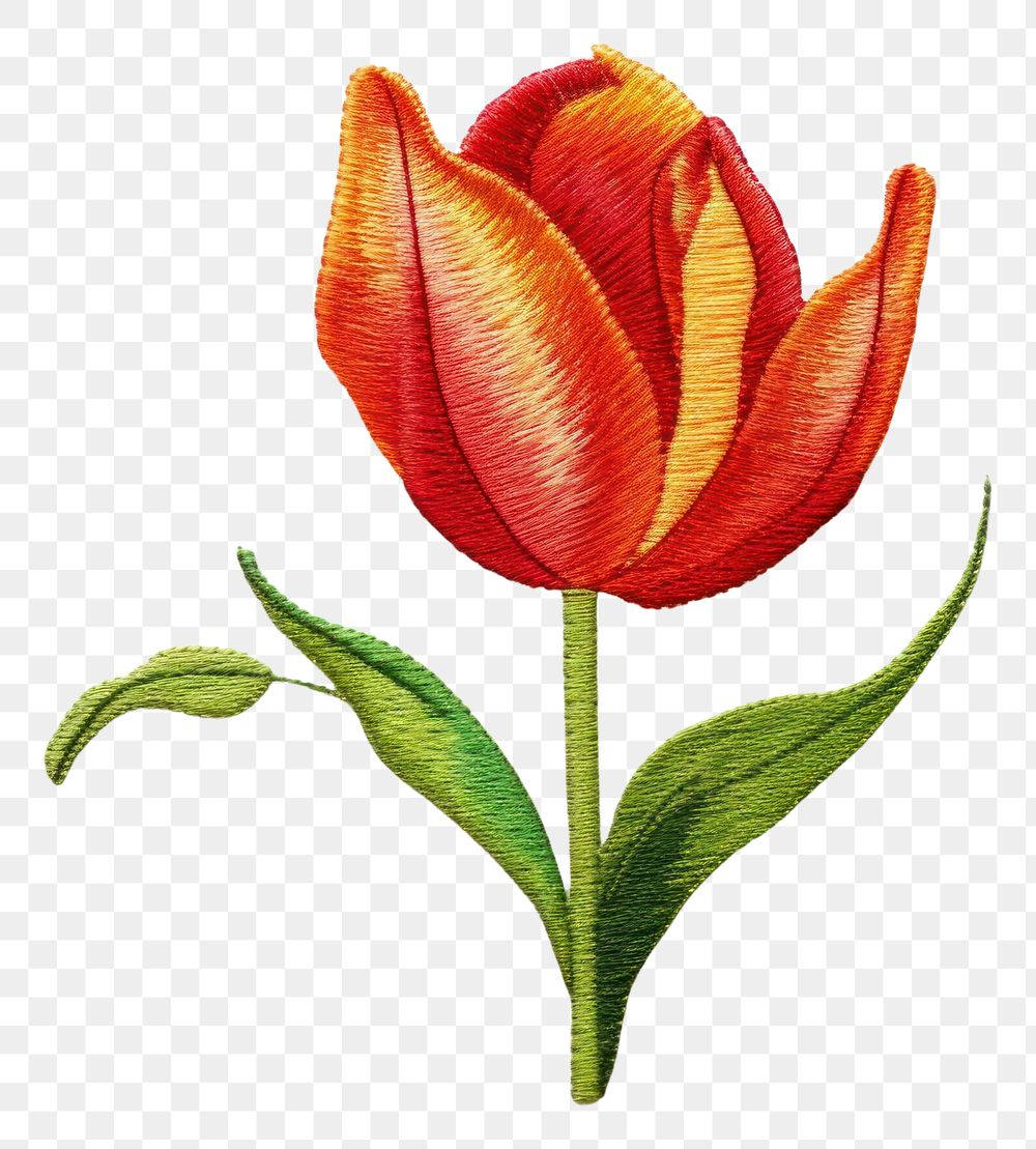 PNG  Tulip in embroidery style pattern flower petal.