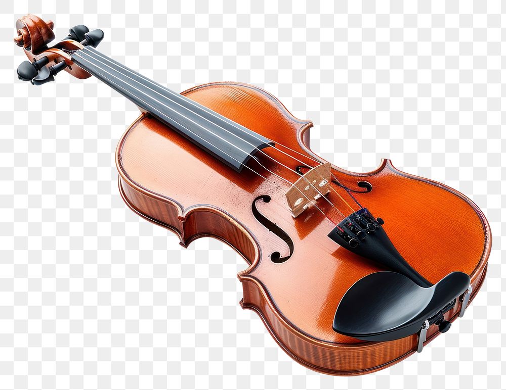 PNG Violin fiddle viola performance.