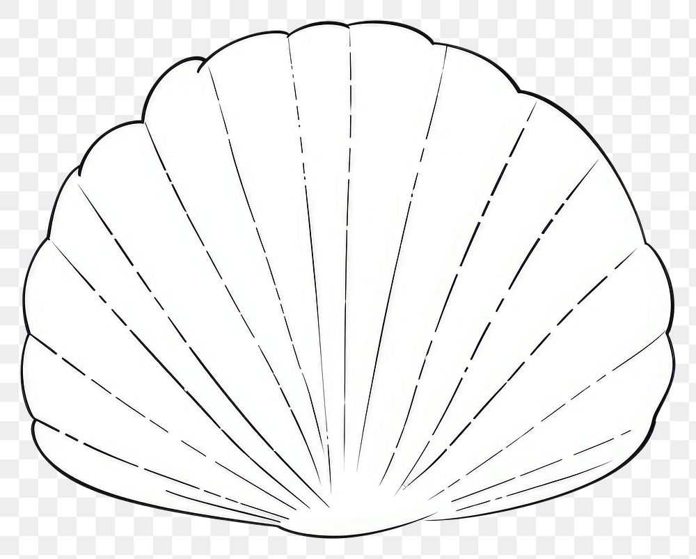 PNG Shell sketch clam line.