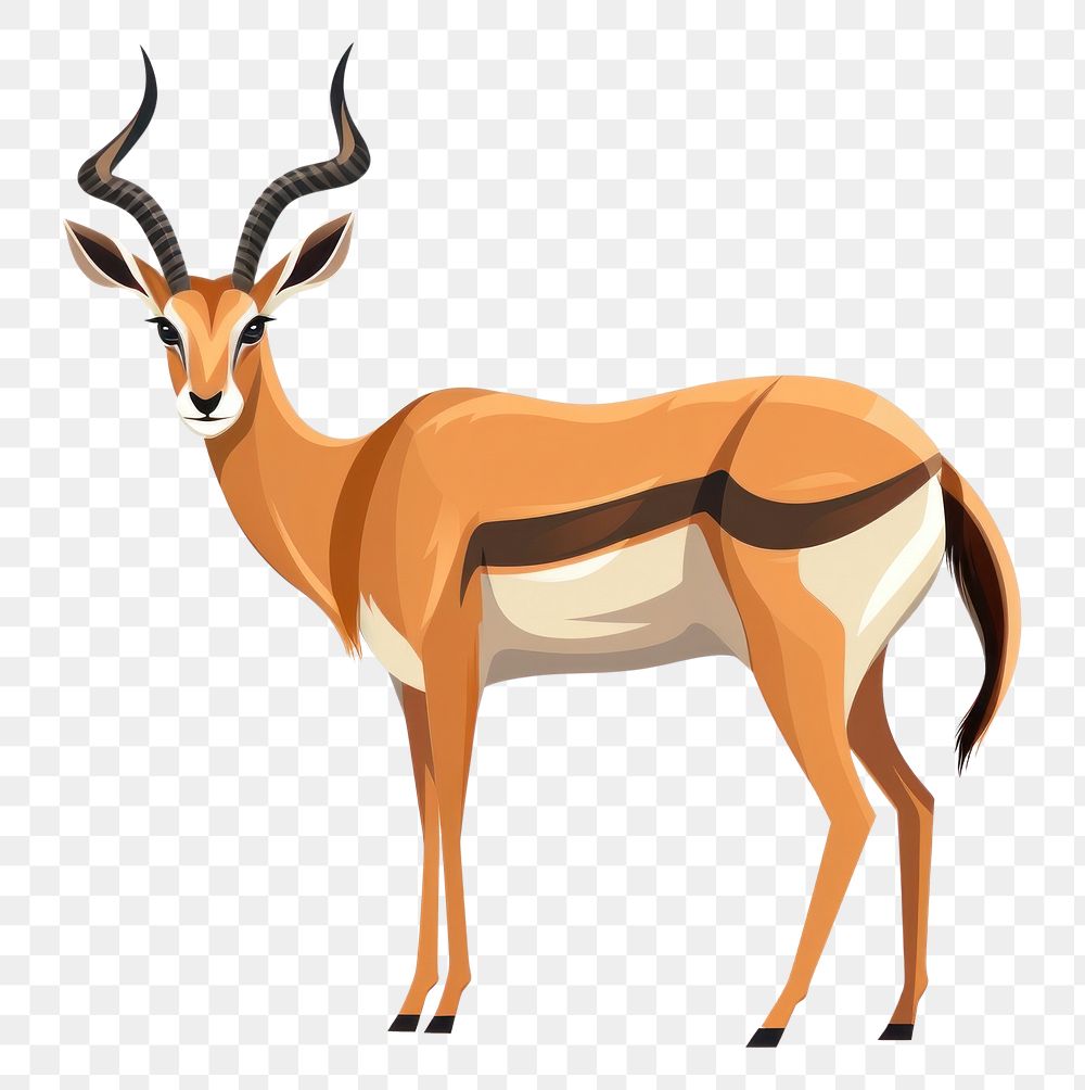 PNG Antelope animal wildlife antelope.
