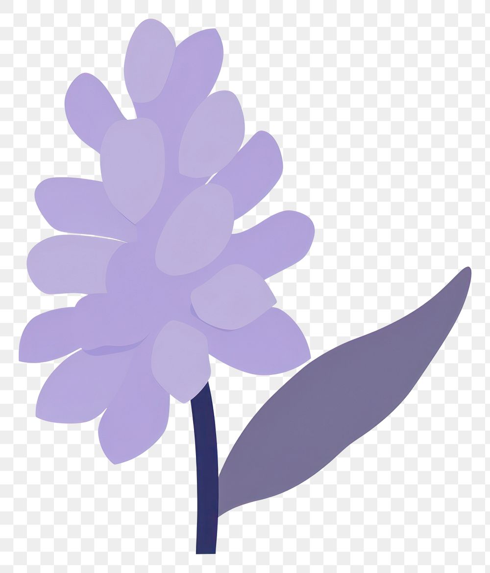PNG Hyacinth flower minimalist form blossom nature petal.