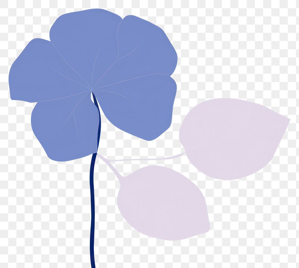 PNG Hydrangea minimalist form flower nature petal.