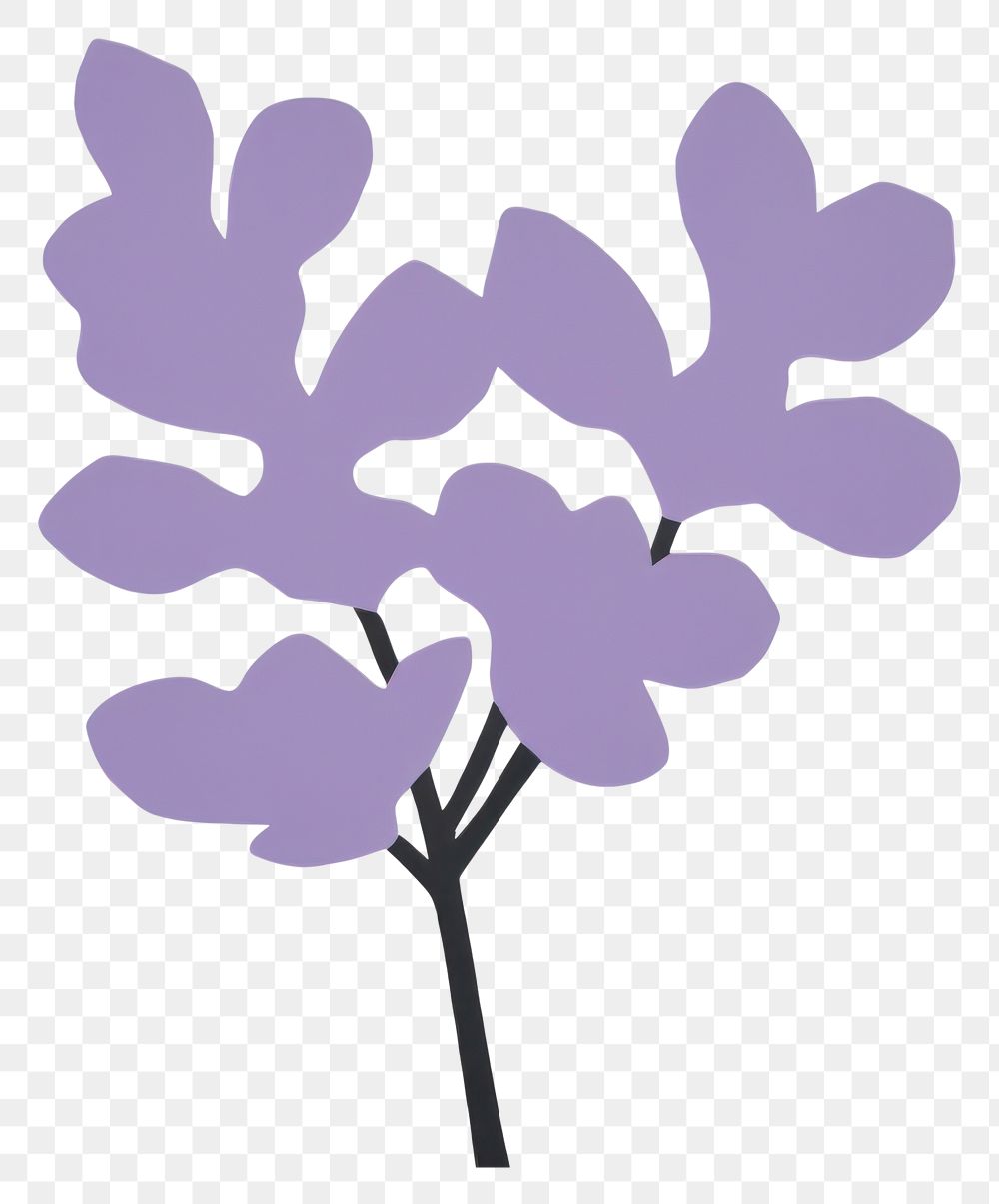 PNG Lilac flower minimalist form plant creativity lavender.