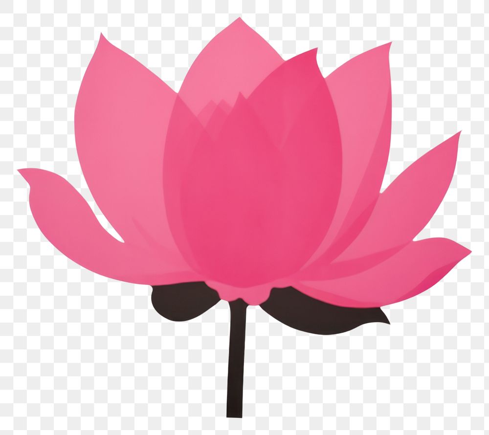 PNG Lotus minimalist form flower petal plant.