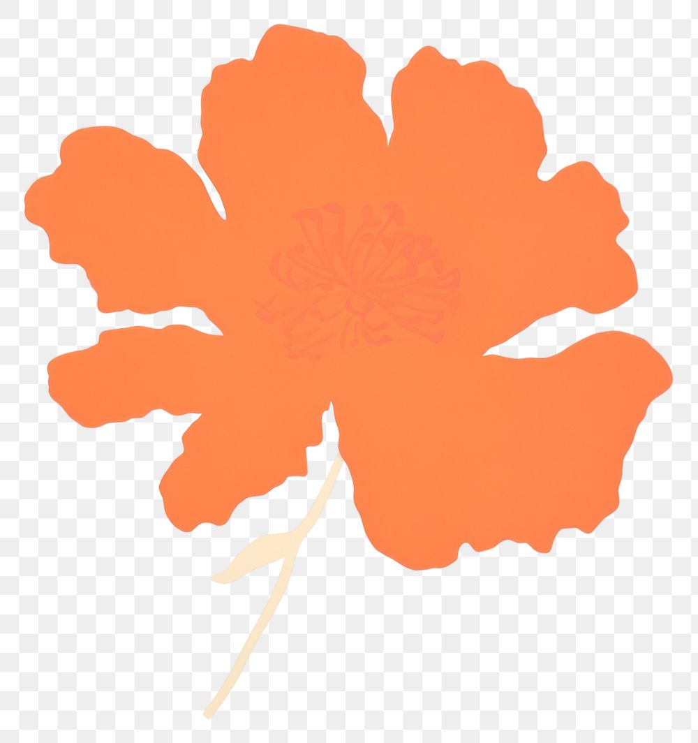 PNG Marigold petal plant creativity.