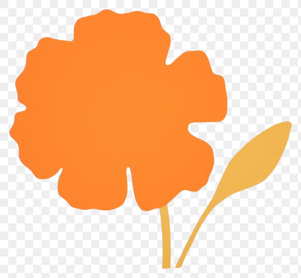 PNG Marigold flower petal plant.