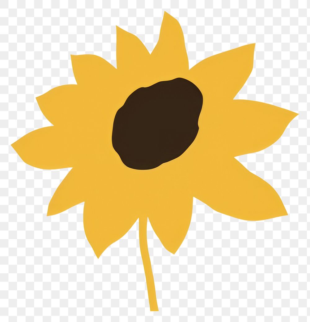 PNG Sunflower minimalist form plant white background inflorescence.