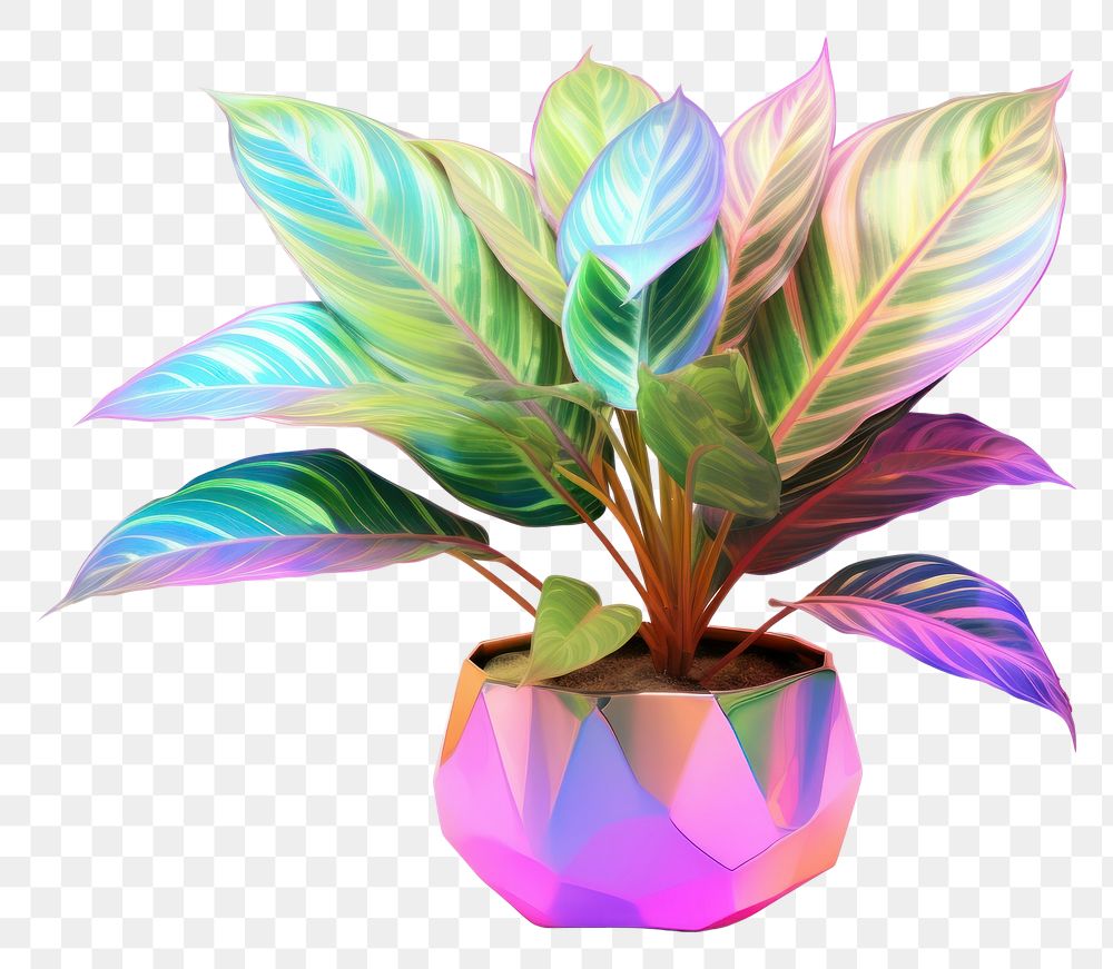 PNG  Houseplant iridescent leaf vase white background.
