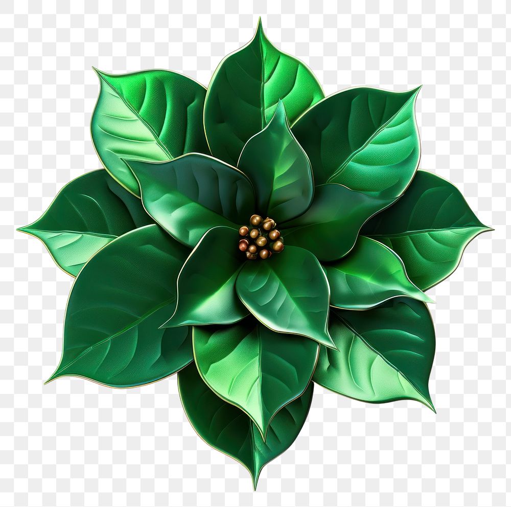 PNG Holly flower plant leaf.