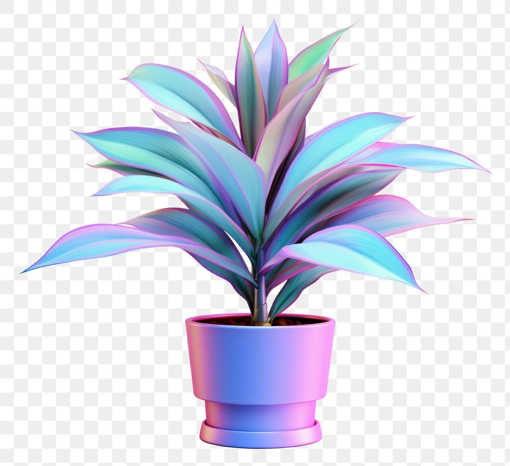 PNG  Potted plant iridescent flower leaf houseplant.