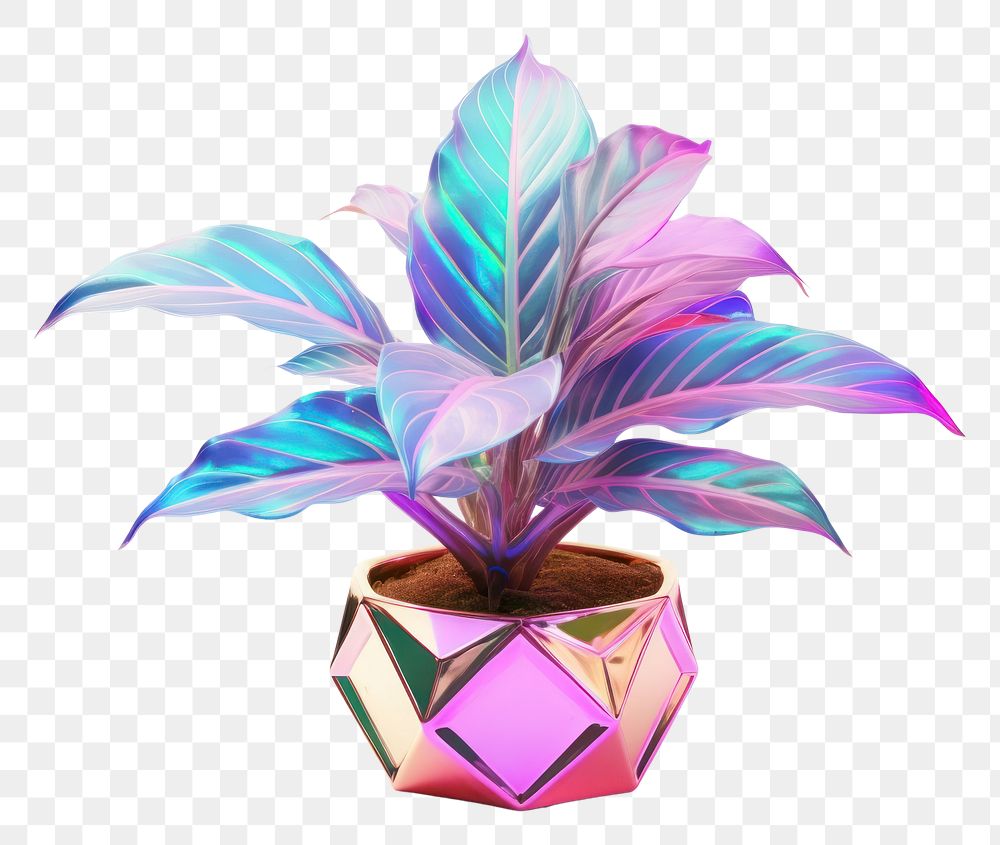 PNG  Potted plant iridescent leaf white background decoration.