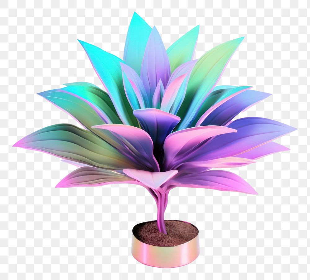 PNG  Plant iridescent flower leaf white background.