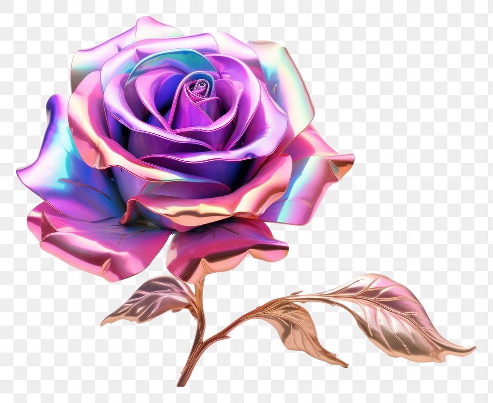 PNG  Rose iridescent flower plant white background.