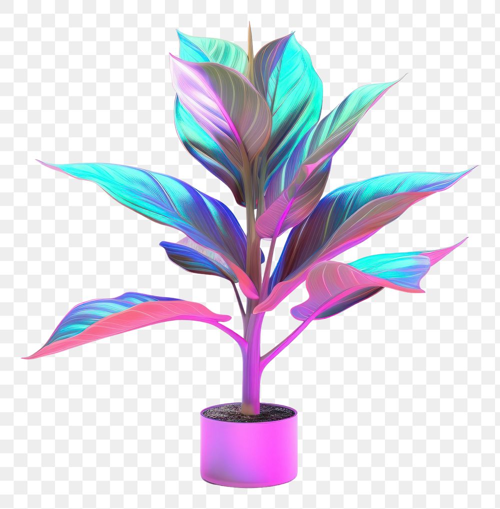 PNG  Tall plant iridescent leaf white background creativity.